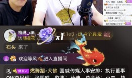 随心哥爆料视频,视频内容深度解析